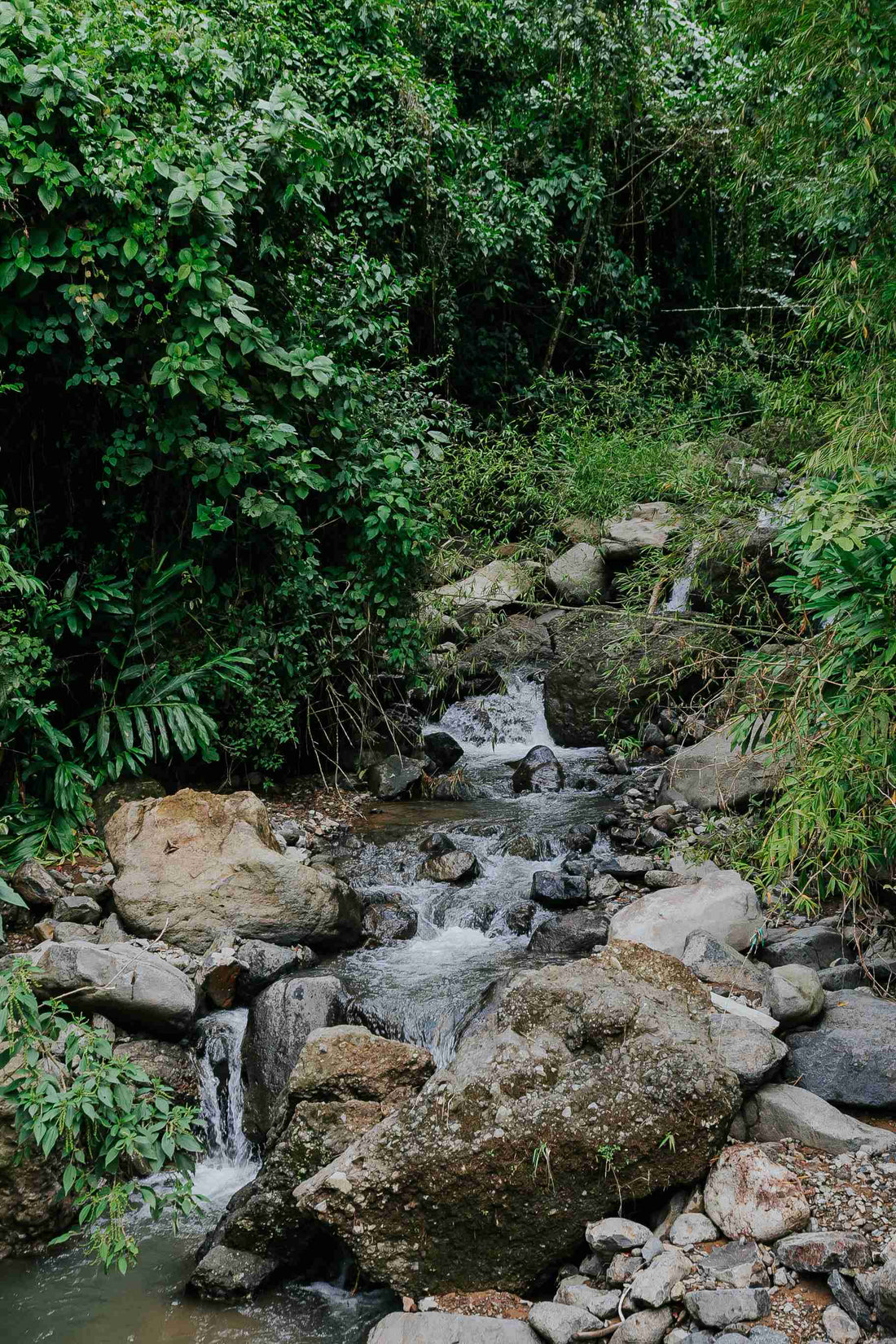El sonido que acompaña