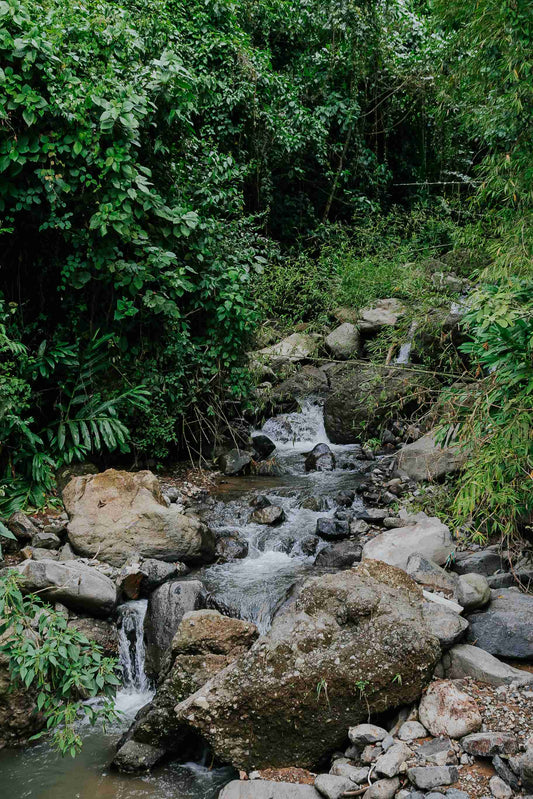 El sonido que acompaña