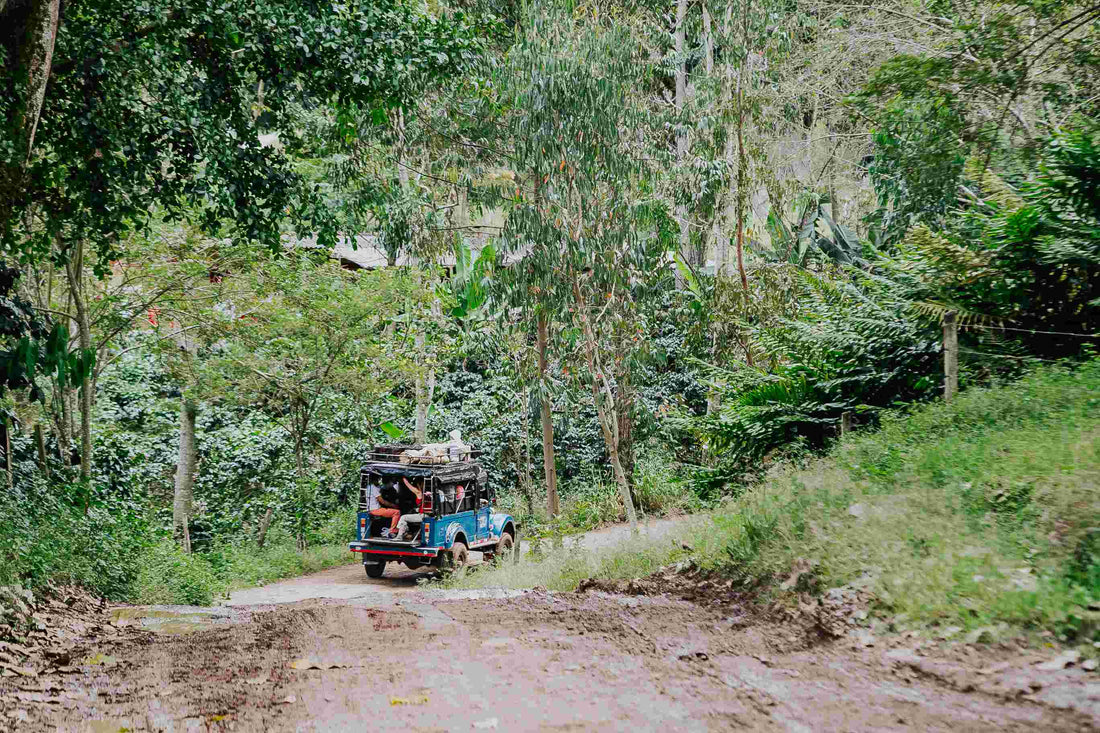 Campesinos en Carretera