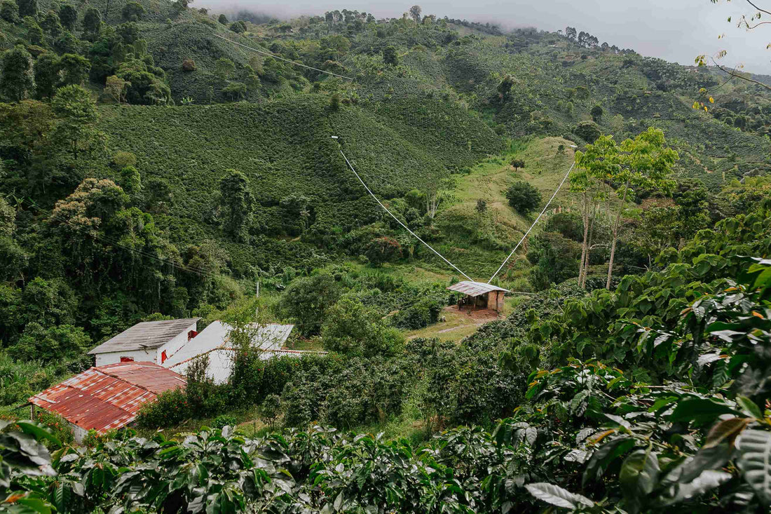 En medio de la montaña