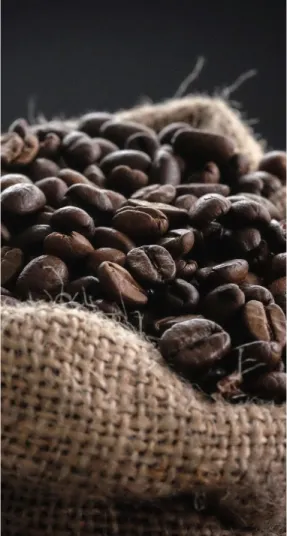cafe 2
